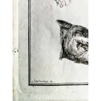 Grafika animalistyczna. Głowy zwierzęce. Sygn. Schellenberg fec. XVIII wiek